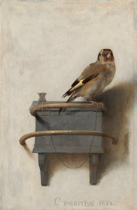 The Goldfinch (painting) by Carel Fabritius