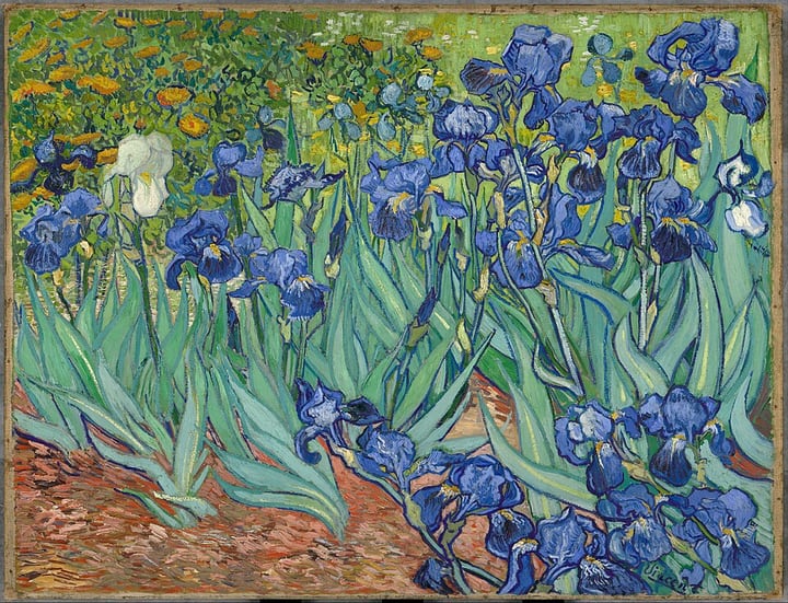 Irises by Vincent van Gogh